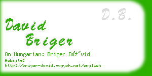 david briger business card